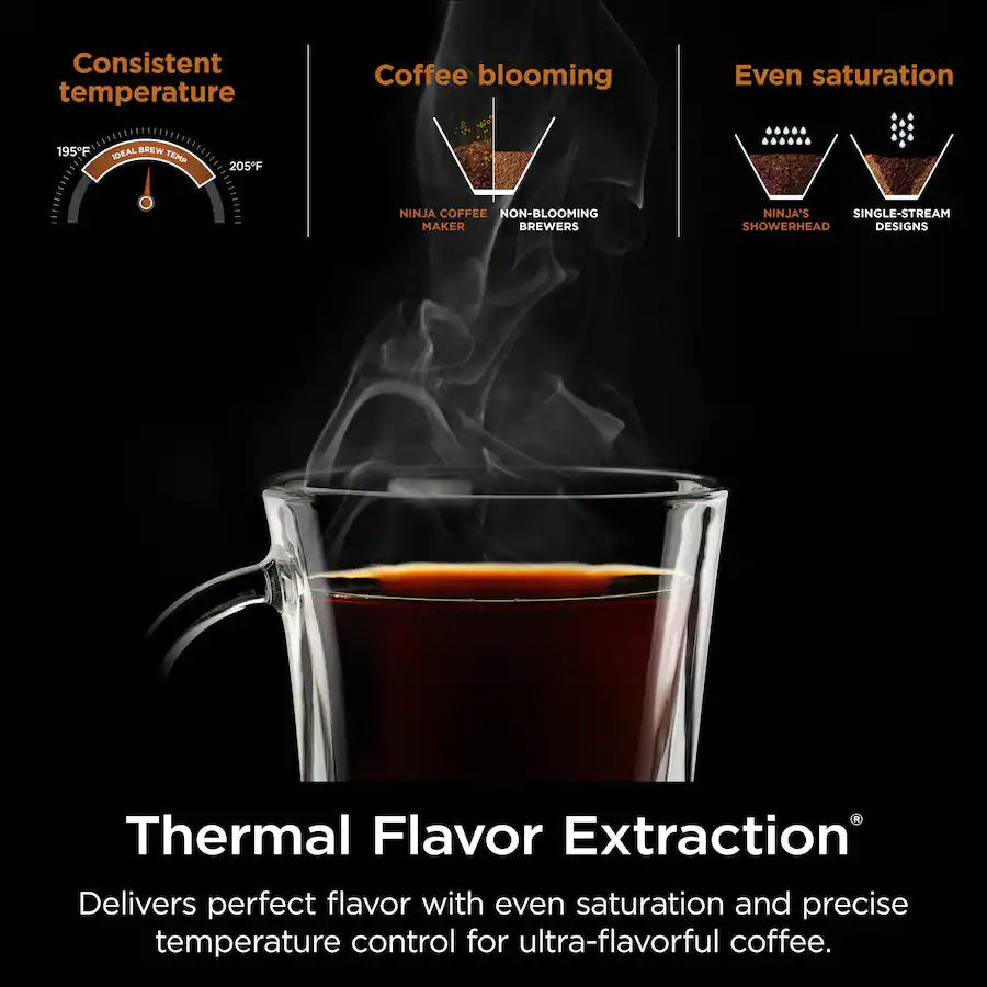 Ninja Hot and Iced XL Coffee Maker with Rapid Cold Brew, 12-Cup Drip Coffee Maker and Single-Serve Brewing - Black